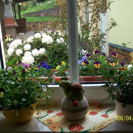 Giesis Wohlfuehloase Apartment Döbeln Екстериор снимка