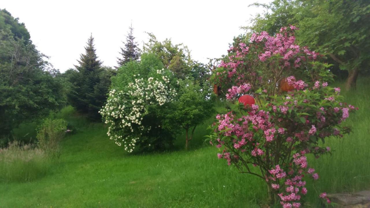 Giesis Wohlfuehloase Apartment Döbeln Екстериор снимка