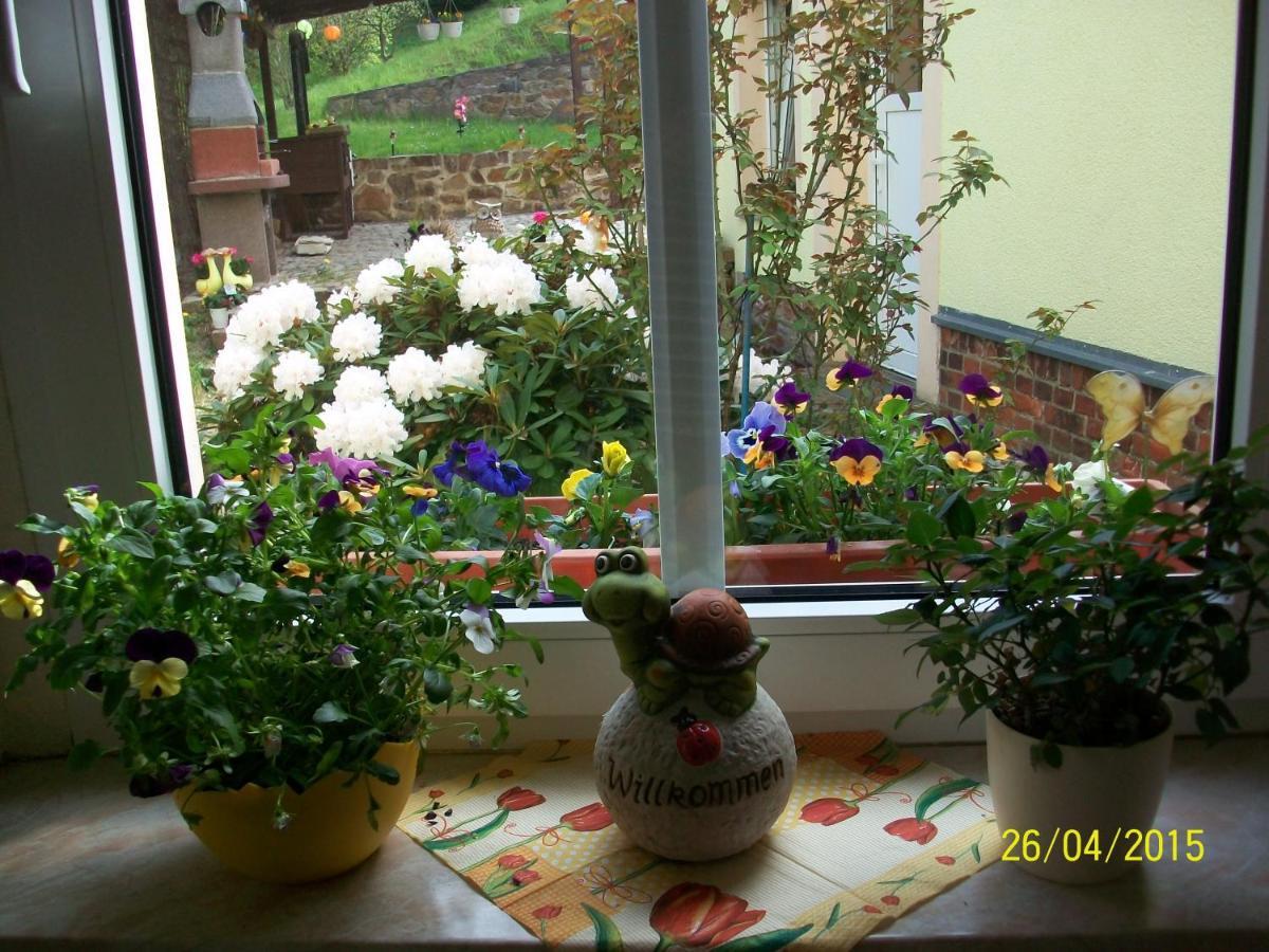 Giesis Wohlfuehloase Apartment Döbeln Екстериор снимка
